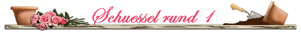Schuessel rund 1