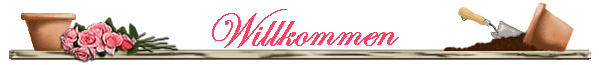 Willkommen